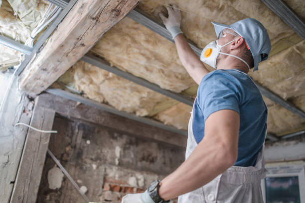 Best Residential Insulation in Plattsmouth, NE